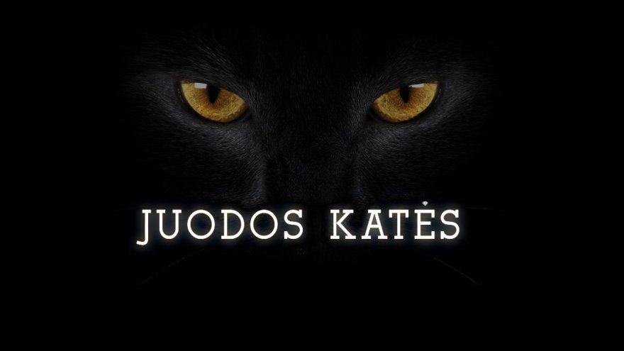 Juodos Katės (1, 2 sezonas) (2015-2016)