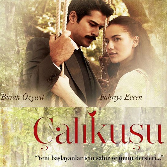 Čiauškutė / Calikusu / Lovebird (1 sezonas) (2013)