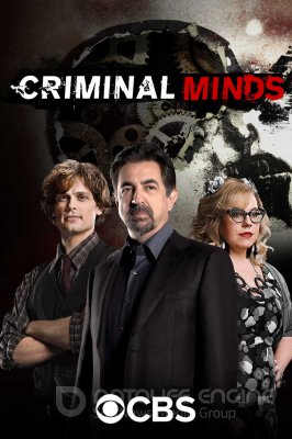 Nusikalstami protai (14 sezonas) / Criminal Minds