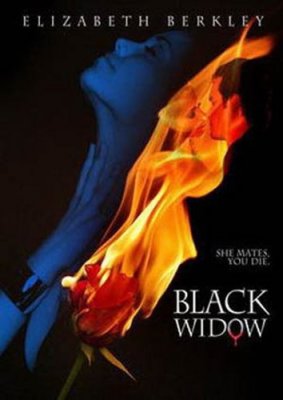 Juodoji našlė / Black Widow (2008)