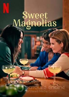 SALDŽIOSIOS MAGNOLIJOS (1 sezonas) / Sweet Magnolias
