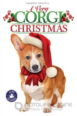 Labai Korgiškos Kalėdos (2019) / A Very Corgi Christmas