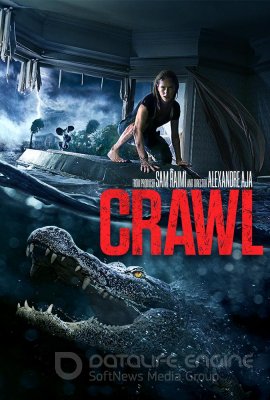 Spąstai (2019) / Crawl