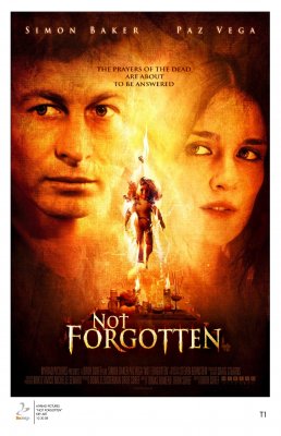 Praeities šešėliai / Not Forgotten (2009)