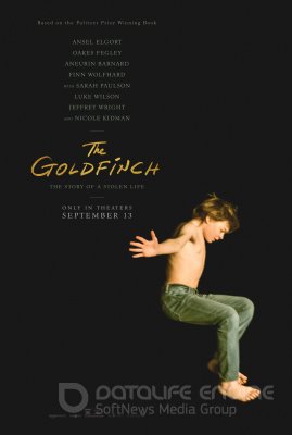 DAGILIS (2019) / The Goldfinch
