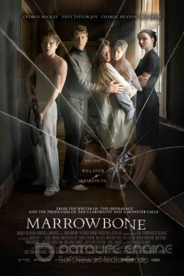 ŠEŠĖLIŲ NAMAI / The Secret of Marrowbone (2017)