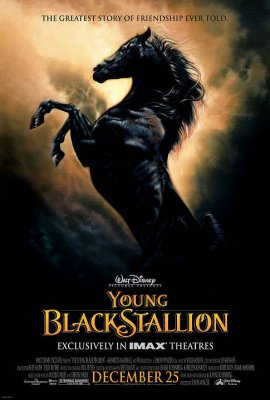Juodasis kumeliukas / The Young Black Stallion (2003)