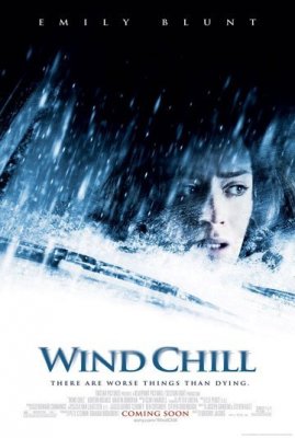 Ledinis vėjas / Wind Chill (2007)