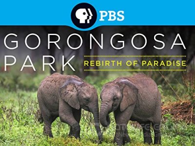 Gorongosa Parkas. Rojaus atgimimas (2015) / Gorongosa Park: Rebirth of Paradise