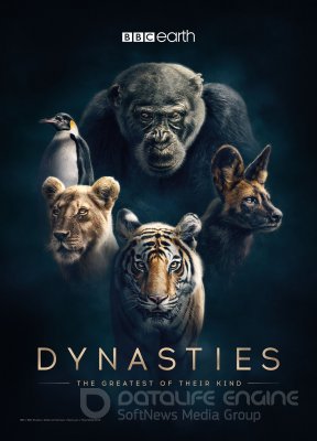 Gyvūnų dinastijos (1 Sezonas) / Dynasties Season 1