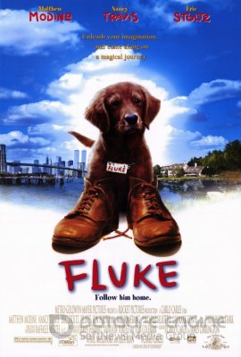 FLUKAS / Fluke