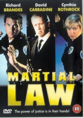 Kovų meistras / Martial Law (1990)