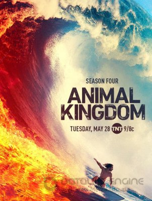 Gyvulių karalystė (4 Sezonas) / Animal Kingdom Season 4
