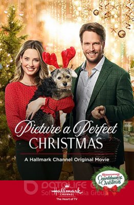 PICTURE A PERFECT CHRISTMAS (2019) / Picture a Perfect Christmas