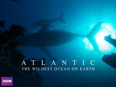 Atlanto vandenynas / Atlantic: The Wildest Ocean on Earth  (2015)