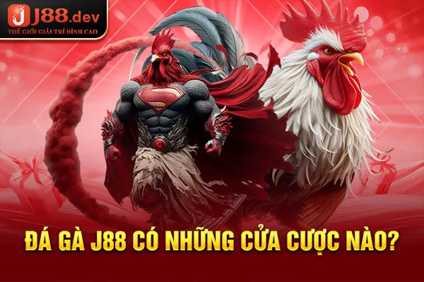 Đá gà J88 có những cửa cược nào? Đá gà J88 có những cửa cược nào?