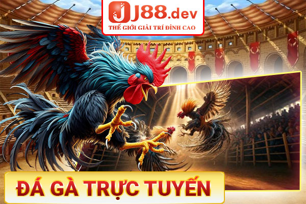 Đá gà trực tuyến