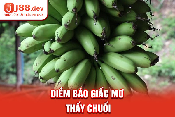Điềm báo giấc mơ thấy chuối Điềm báo giấc mơ thấy chuối