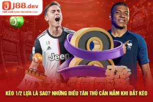 Kèo 1/2 Lựa Là Sao? Những Điều Tân Thủ Cần Nắm Khi Bắt Kèo