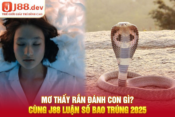 Mơ thấy rắn có ý nghĩa gì